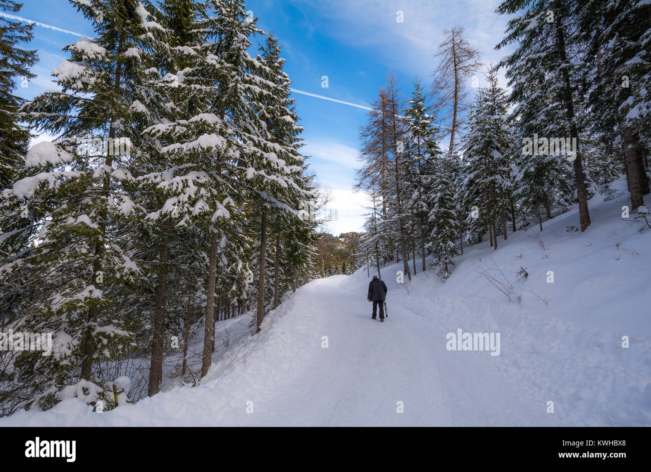 Randonnée en raquettes touristiques et un panorama de la neige dans le Trentin-Haut-Adige, Italie Banque D'Images