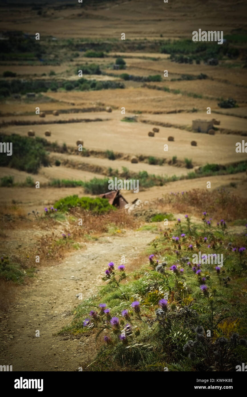 Gozo a une marche, un chemin de randonnée autour de l'ensemble de son littoral donnant une vue imprenable sur la mer, à l'intérieur des terres, et un sentiment de paix et de tranquillité Banque D'Images