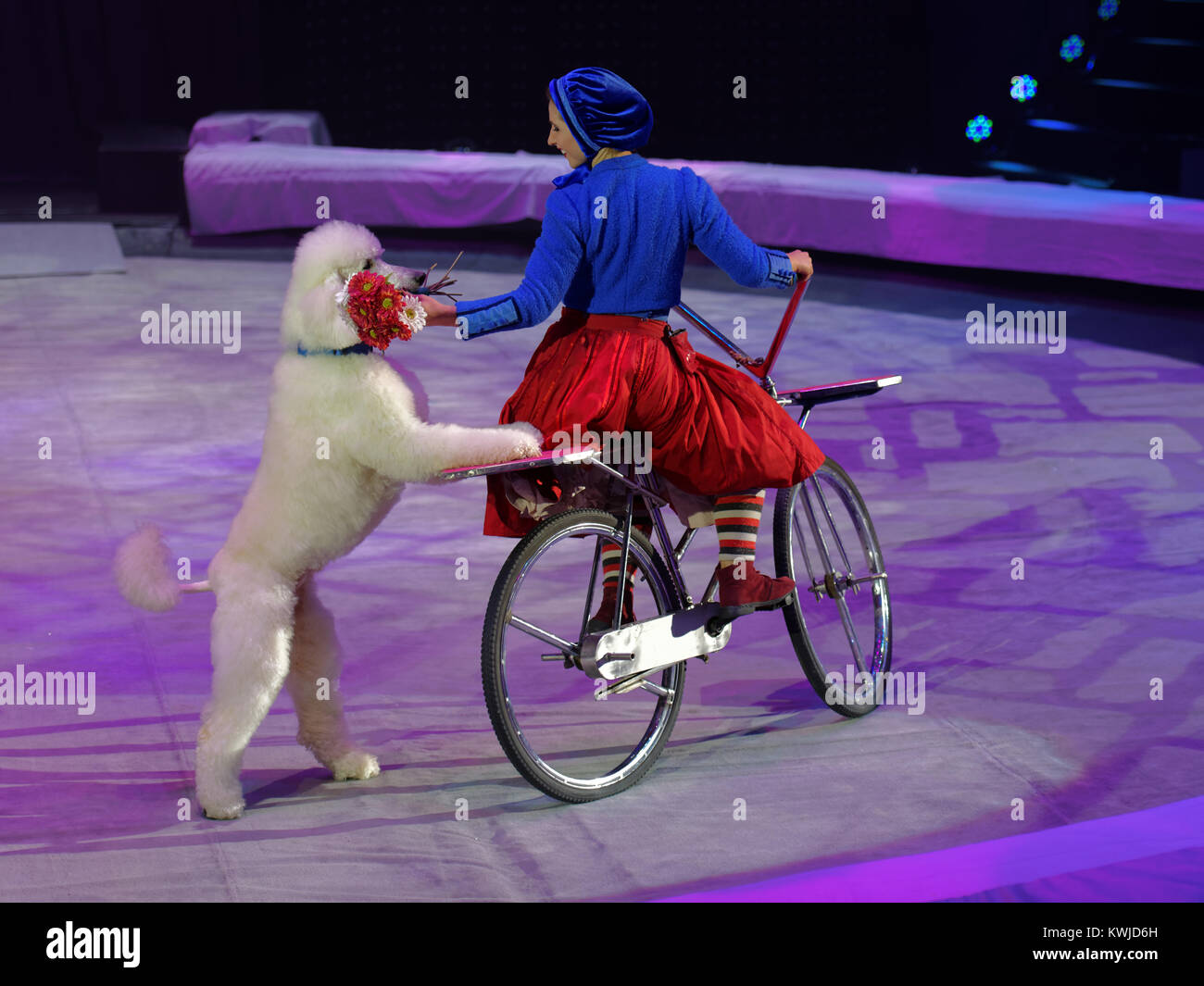 Victoria Akimova comme Gerda avec des chiens entraînés dans le Circus Show Snow Queen par grand cirque de Moscou Banque D'Images
