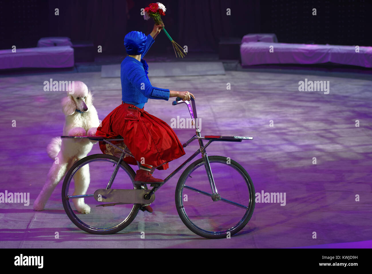 Victoria Akimova comme Gerda avec des chiens entraînés dans le Circus Show Snow Queen par grand cirque de Moscou Banque D'Images