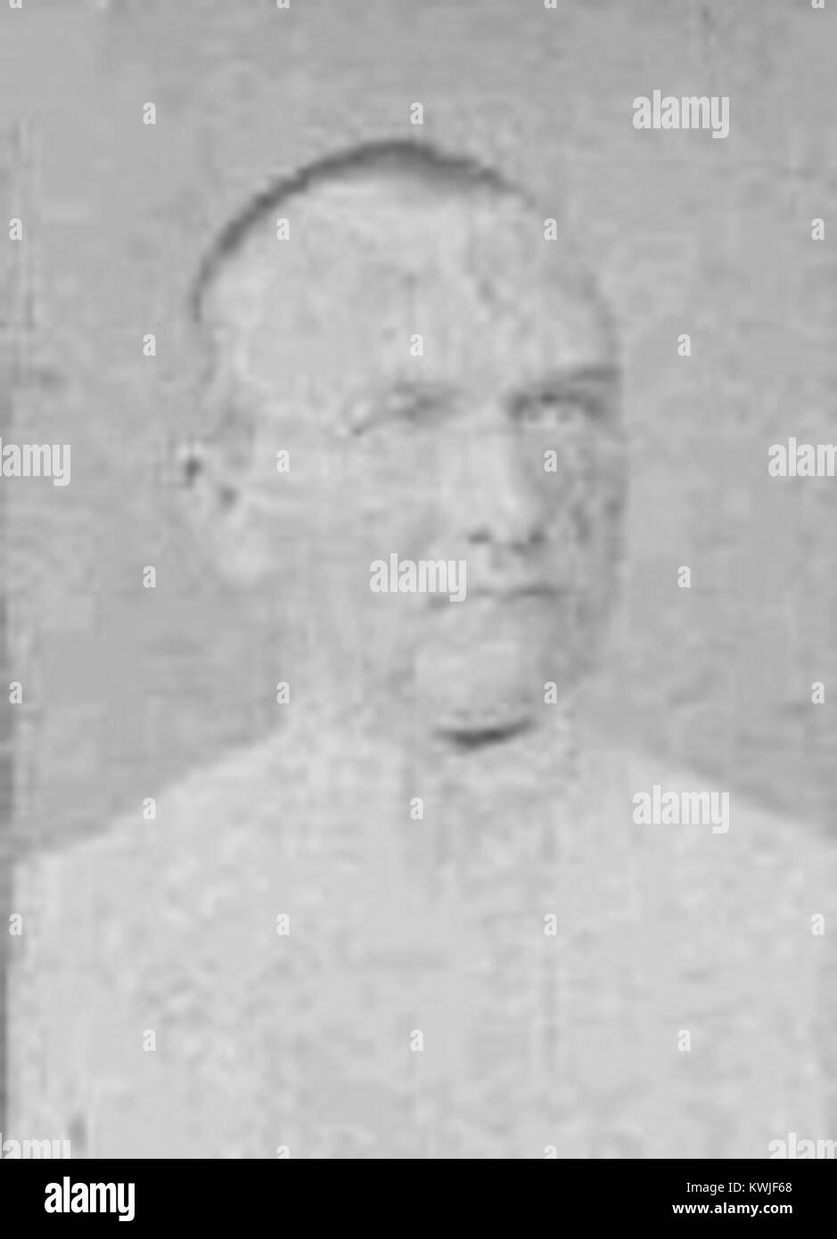 Josef Gustav Kolenat (1819-1887) est un naturaliste tchèque connu pour ses contributions à la zoologie et à l'entomologie au XIXe siècle. Banque D'Images