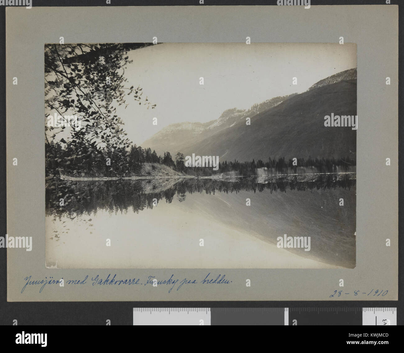 Cette photographie de 1910 montre le lac Juusjärvi et Gakkovarre en Finlande, entourés de forêts de pins, mettant en valeur le paysage finlandais du début du XXe siècle et les paysages naturels. Banque D'Images