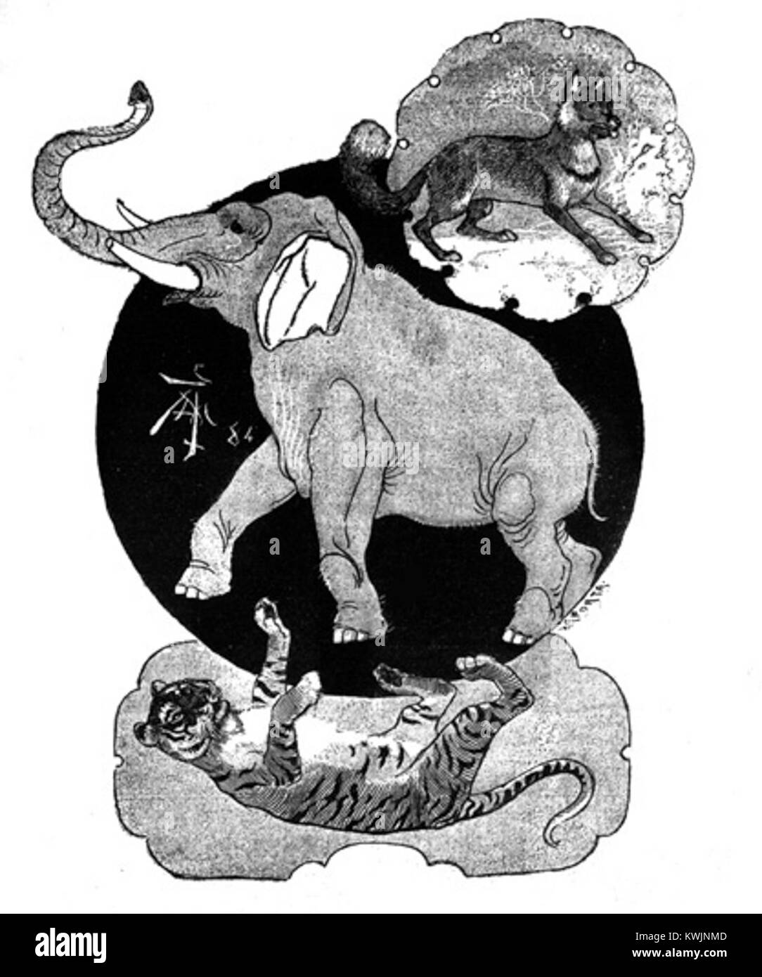 Une illustration de Benito Pérez Galdós 'la Segunda casaca' représentant le personnage de Zorro avec un tigre et un éléphant. La scène met en lumière les éléments aventureux et imaginatifs de l'œuvre littéraire de Galdós. Banque D'Images