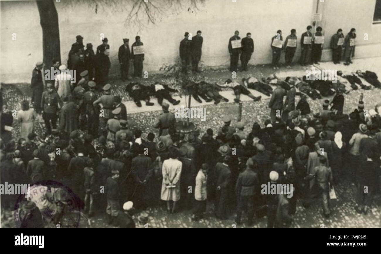 Une photographie des années 1940 en temps de guerre montrant l'humiliation de partisans capturés et décédés à Celje, Slovénie, documentant les événements pendant la seconde Guerre mondiale Banque D'Images