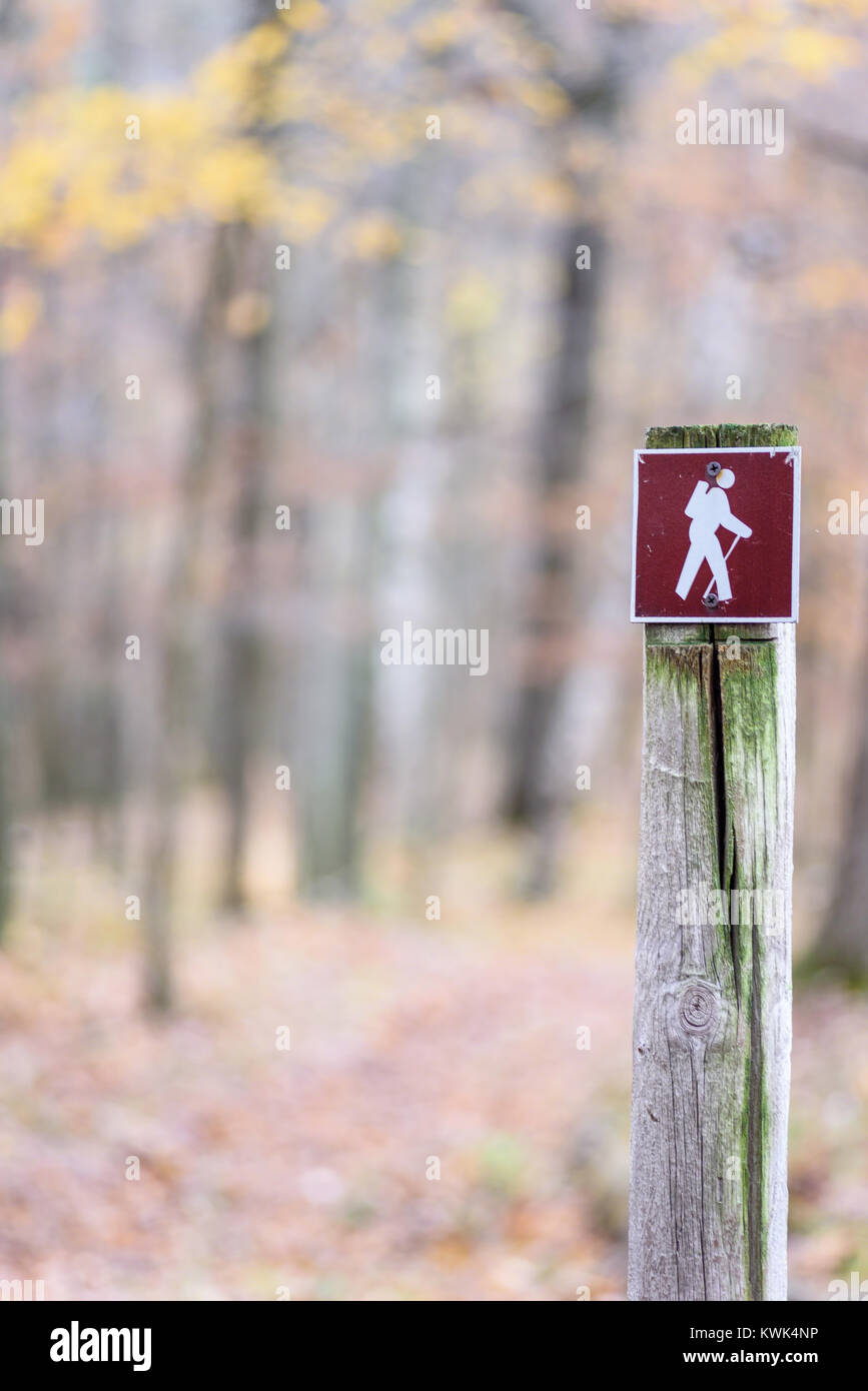 Inscrivez-sentier de randonnée sur sentier en bois au poste dans les bois Banque D'Images