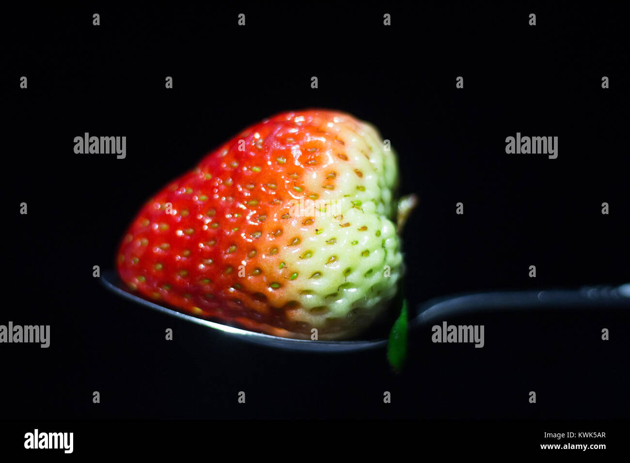 Fraise rouge dans une cuillère en fond noir avec du miel Banque D'Images