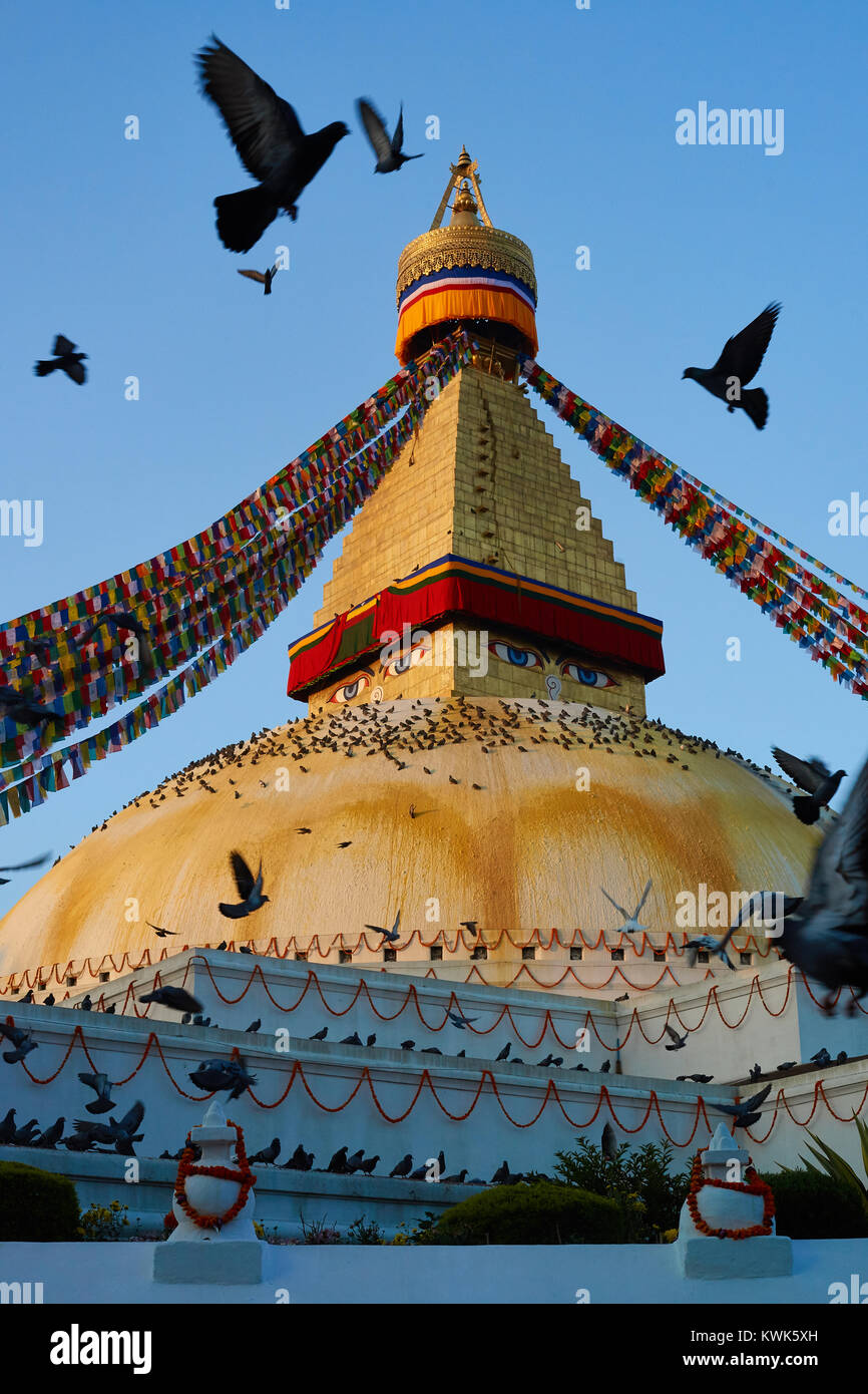 Les pigeons voler autour du stupa bouddhiste de Boudhanath, Katmandou, Népal Banque D'Images