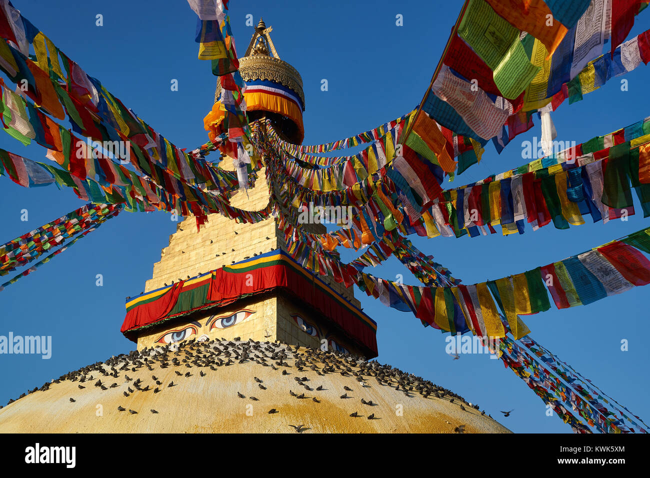 Les pigeons en tenant sur le soleil de stupa bouddhiste Boudhanath, Katmandou, Népal Banque D'Images