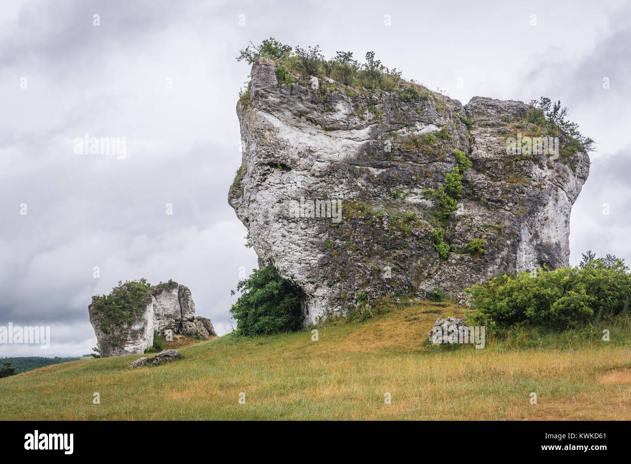 Grand rock aberrantes à côté de château à Mirow village, Jura polonais dans la région du sud de la voïvodie de Silésie en Pologne Banque D'Images