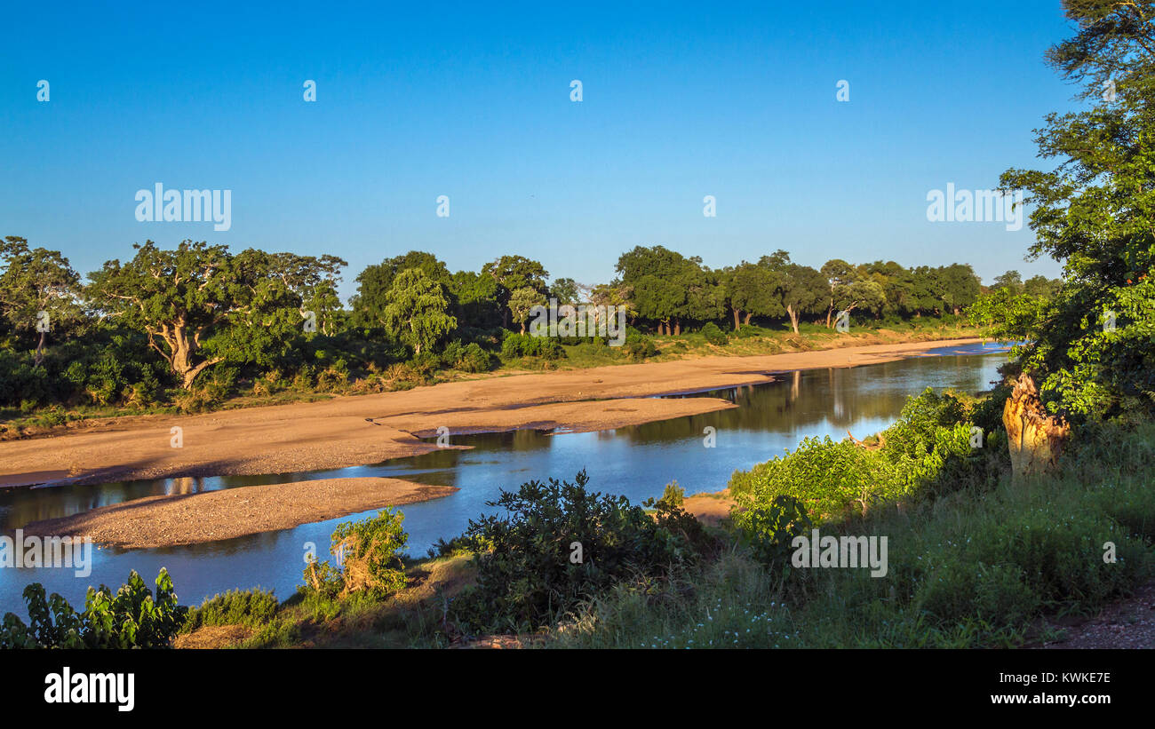 Rivière Shingwedzi dans Kruger National Park Banque D'Images