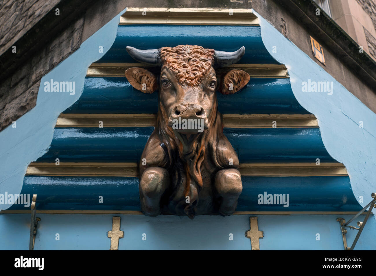 La sculpture d'un taureau au-dessus de la porte d'une boutique sur St Mary's Street, Édimbourg, Écosse, Royaume-Uni. Banque D'Images