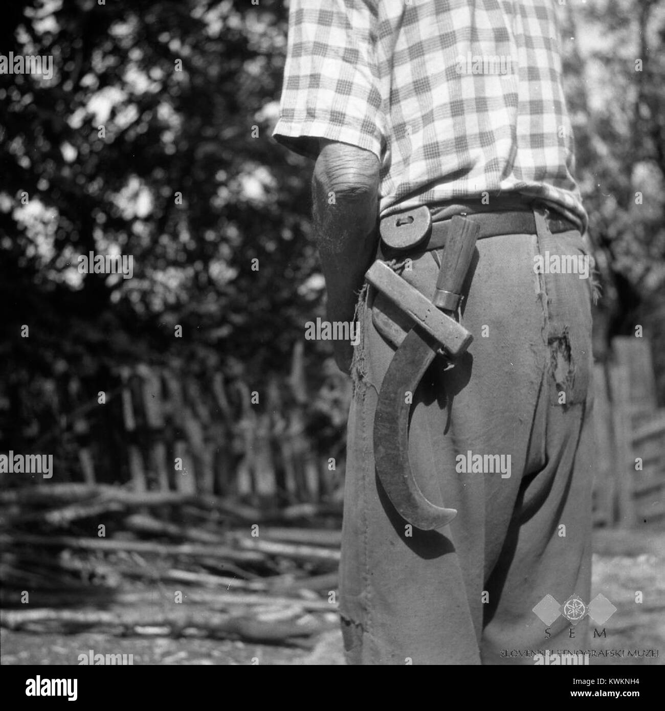 La photographie de Brlog de 1956 montre une faux en bois (« kosir ») fixée dans un sac en cuir attaché à une ceinture, utilisée pour défricher des piquets, des branches et des épines dans la Slovénie rurale, illustrant les outils forestiers traditionnels et la pratique agraire d’après-guerre. Banque D'Images