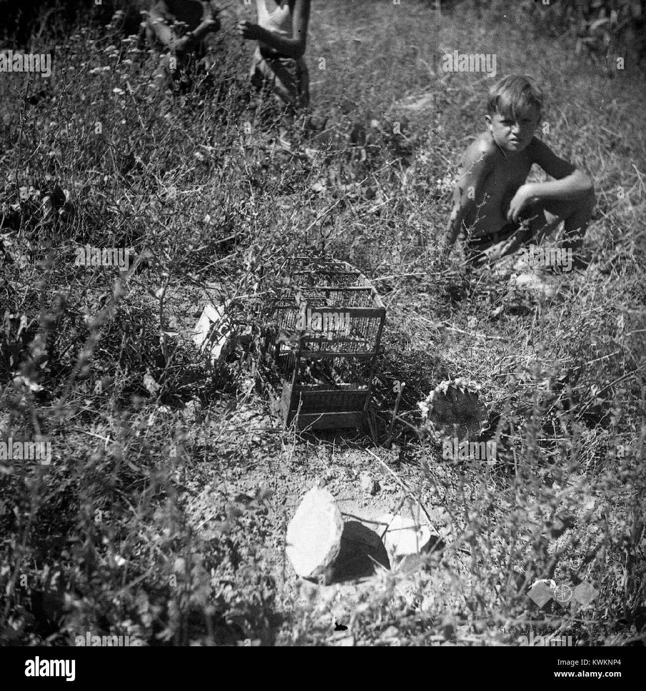 Cette photographie montre une scène de Sabadinih, représentant l'activité agricole en 1950. Il illustre la pratique de l'agriculture, en mettant l'accent sur le processus de plantation à l'aide de racines de graines. Banque D'Images Cette photographie montre une scène de Sabadinih, représentant l'activité agricole en 1950. Il illustre la pratique de l'agriculture, en mettant l'accent sur le processus de plantation à l'aide de racines de graines. Banque D'Images