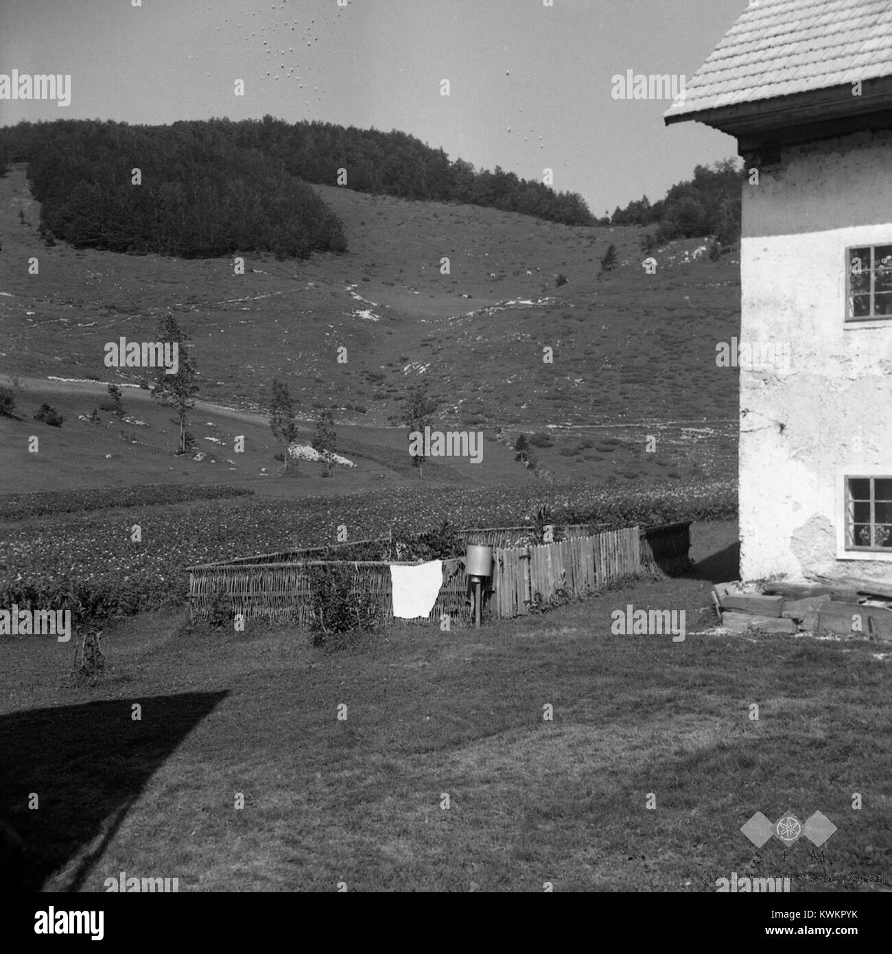La photographie de 1959 intitulée 'VRT' représente un jardin clôturé à Kanji Dol, Slovénie, représentant l'espace de culture d'un ménage rural typique de l'agriculture à petite échelle et des traditions de jardinage à domicile. Banque D'Images