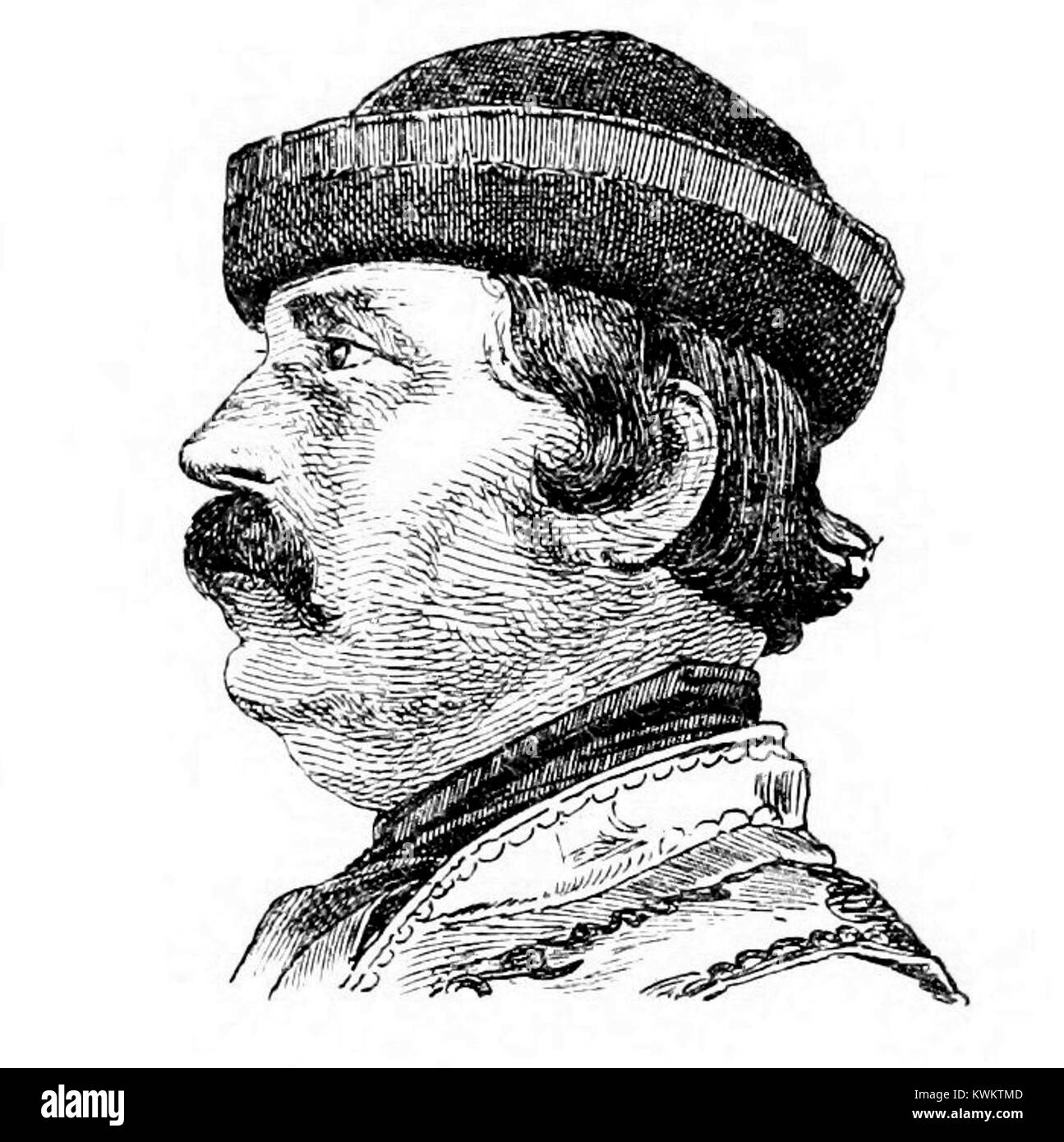 Tiré de Jankó 1892, page 241, section 1,2, une référence textuelle ou une description dans un ouvrage historique. Banque D'Images