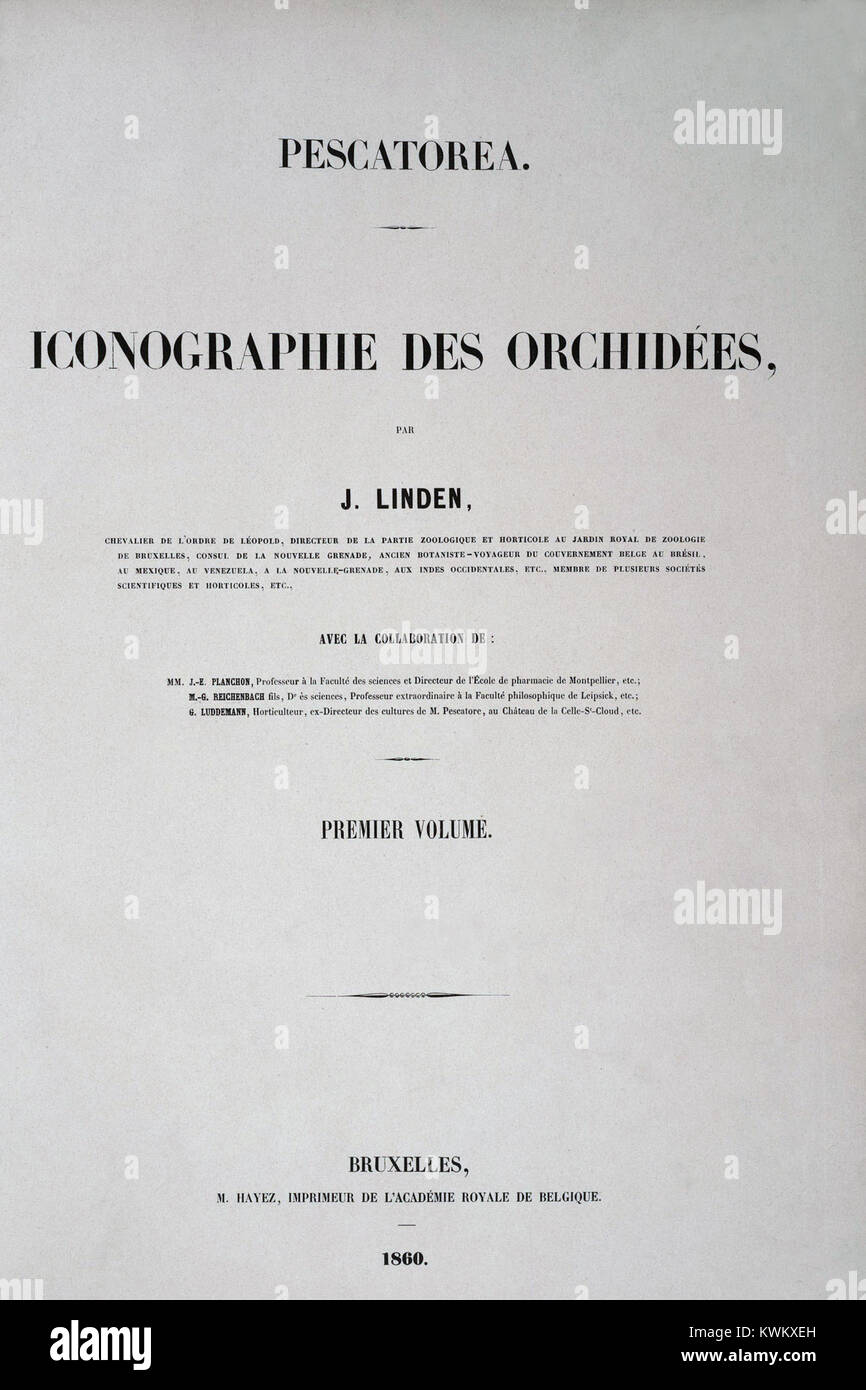 Jean Jules Linden - Pescatorea (1860) - Titre Banque D'Images
