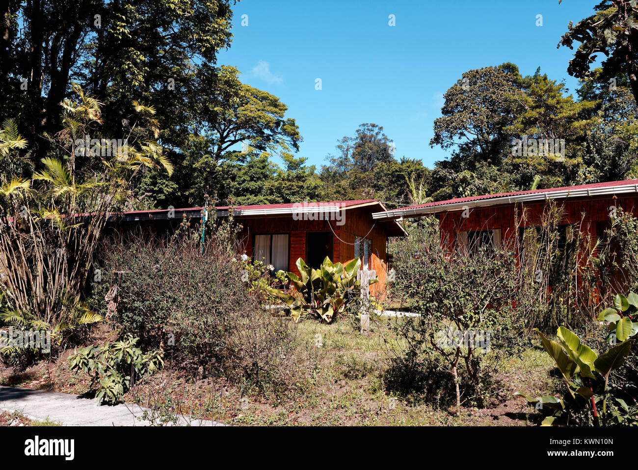 Chalets à l'El Bosque Eco Lodge dans un environnement naturel, Montevrde. Costa Rica Banque D'Images