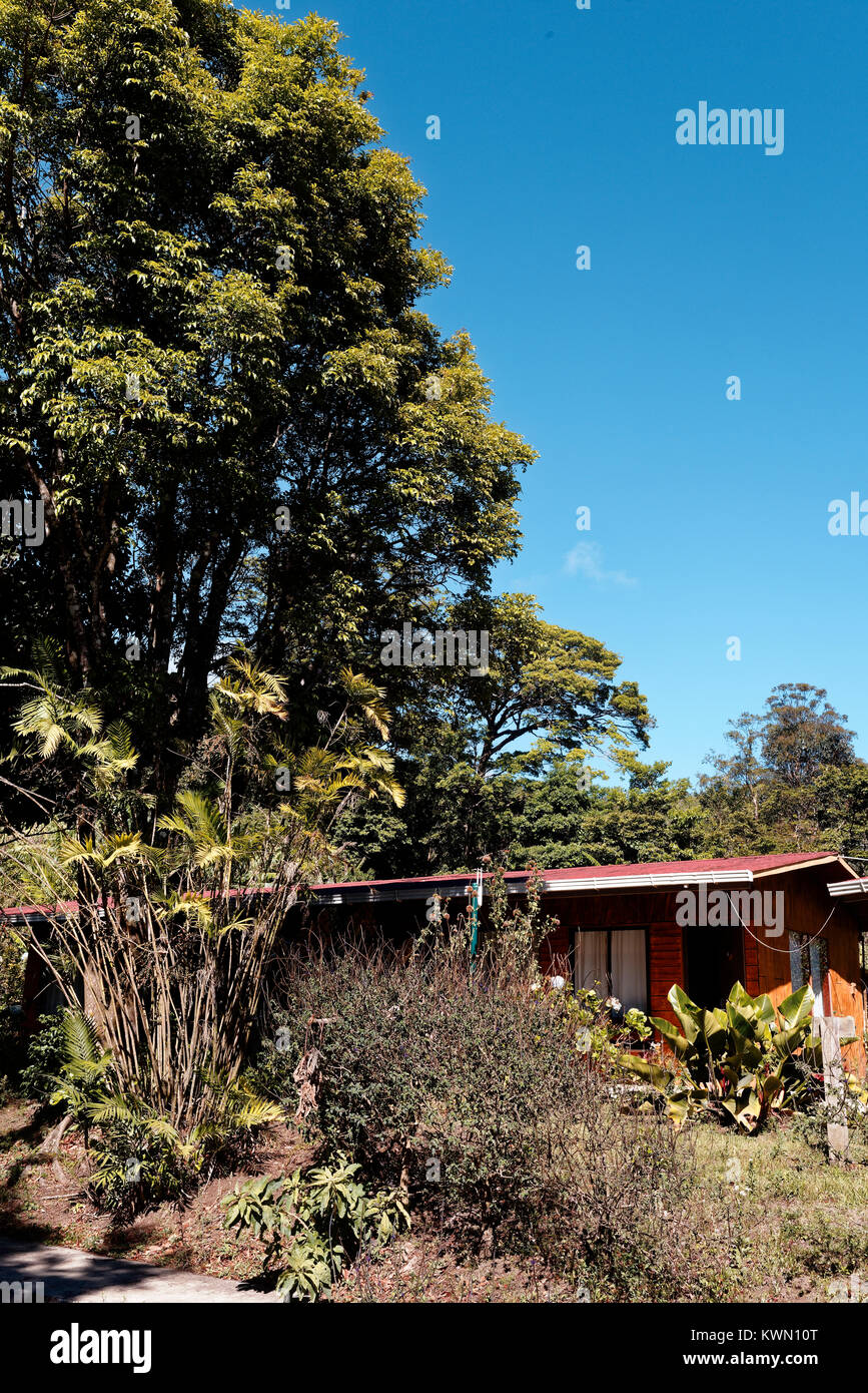 Chalets à l'El Bosque Eco Lodge dans un environnement naturel, Montevrde. Costa Rica Banque D'Images