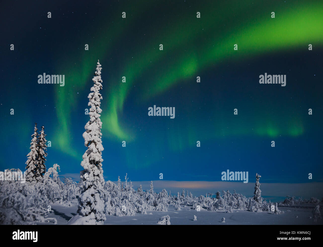 Illumination tourbillonnant au-dessus du ciel nocturne d'hiver de l'Arctique Banque D'Images