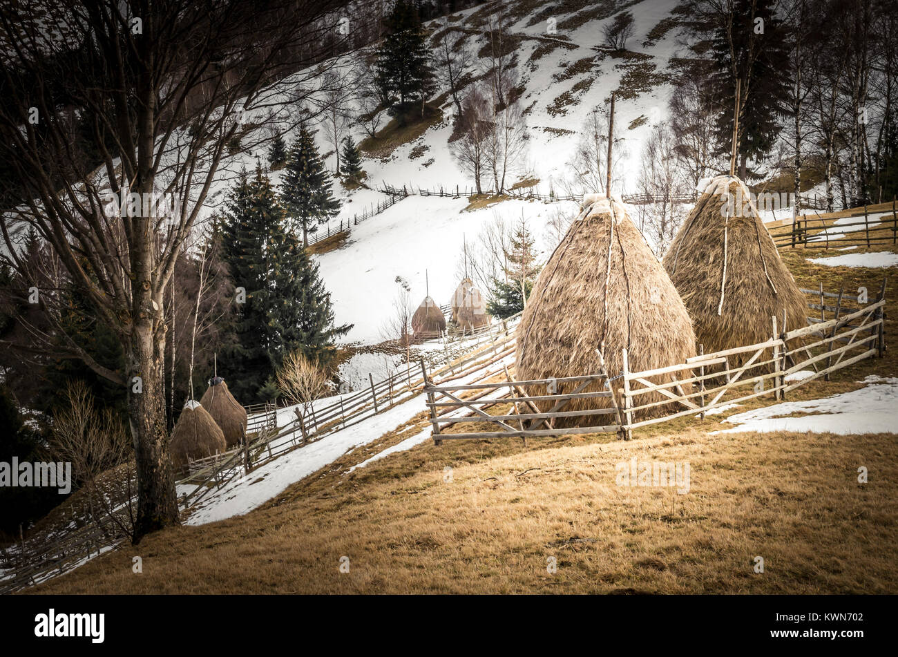 Scène rurale d'hiver dans les montagnes. Les montagnes des Carpates, en Roumanie. Paysage de campagne en Transylvanie Banque D'Images