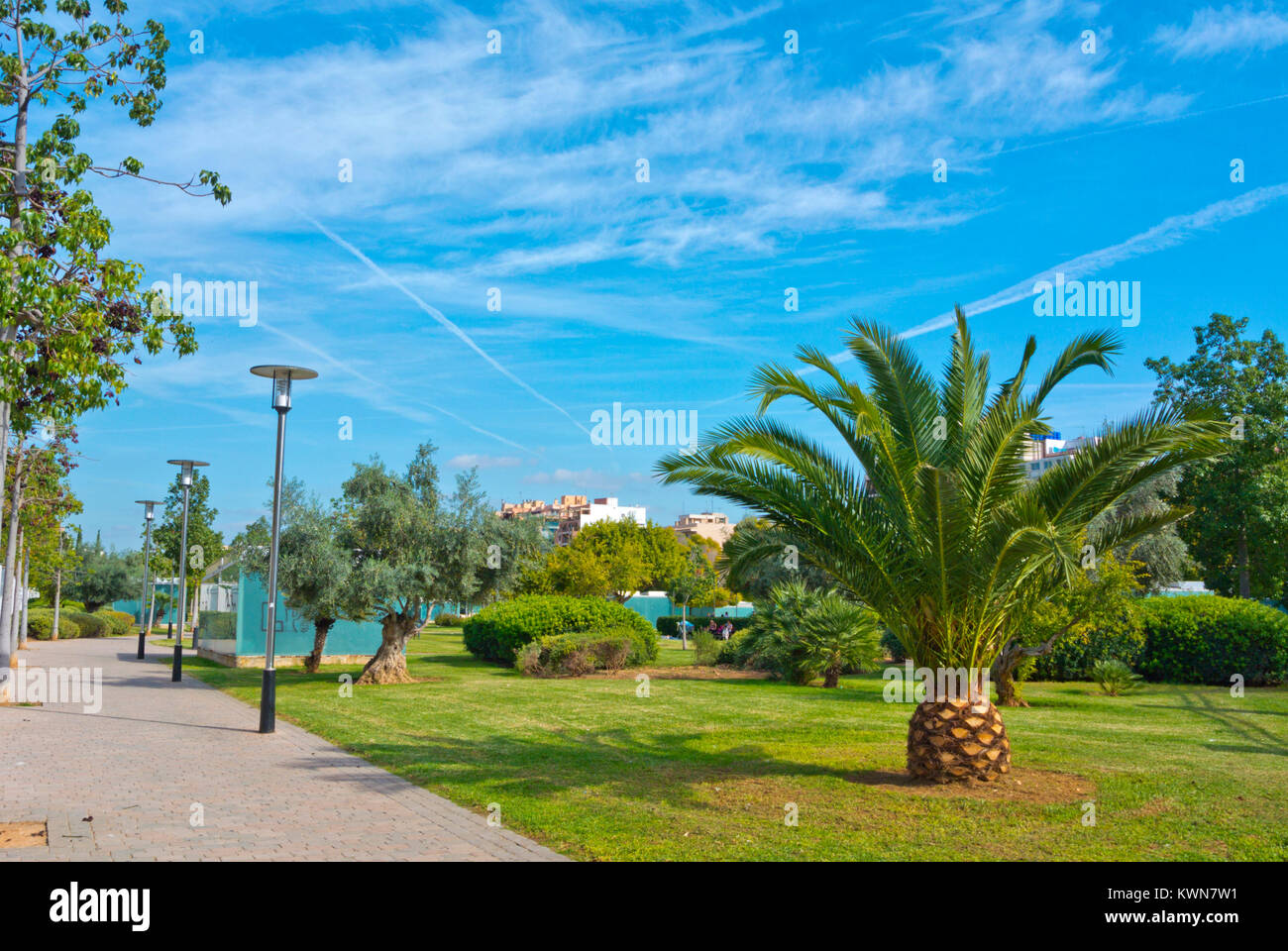 Parc de les Estacions, Palma, Majorque, îles Baléares, Espagne Banque D'Images