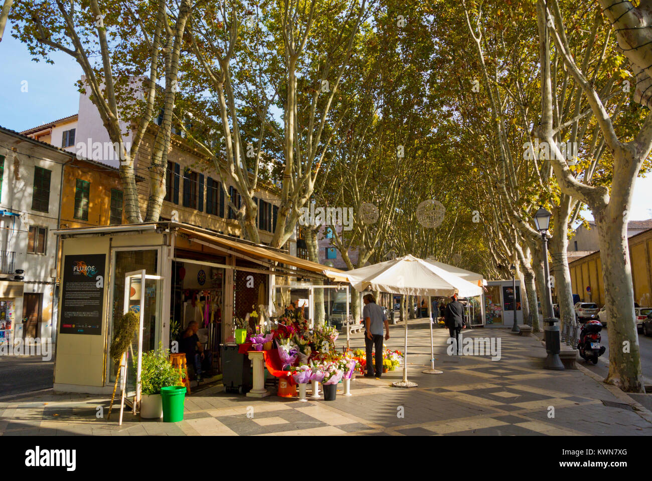 La Rambla, Palma, Majorque, îles Baléares, Espagne Banque D'Images