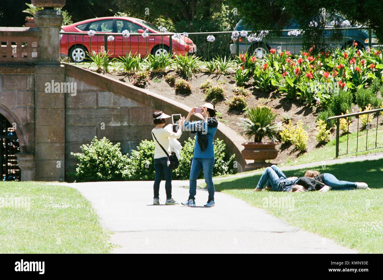 Deux femmes touristes utilisent et l'iPhone et l'iPad pour photographier les uns les autres dans le jardin formel au Conservatoire de fleurs, une serre victorienne et conservatoire des fleurs dans le parc du Golden Gate, San Francisco, Californie, le 11 juillet 2017. Banque D'Images