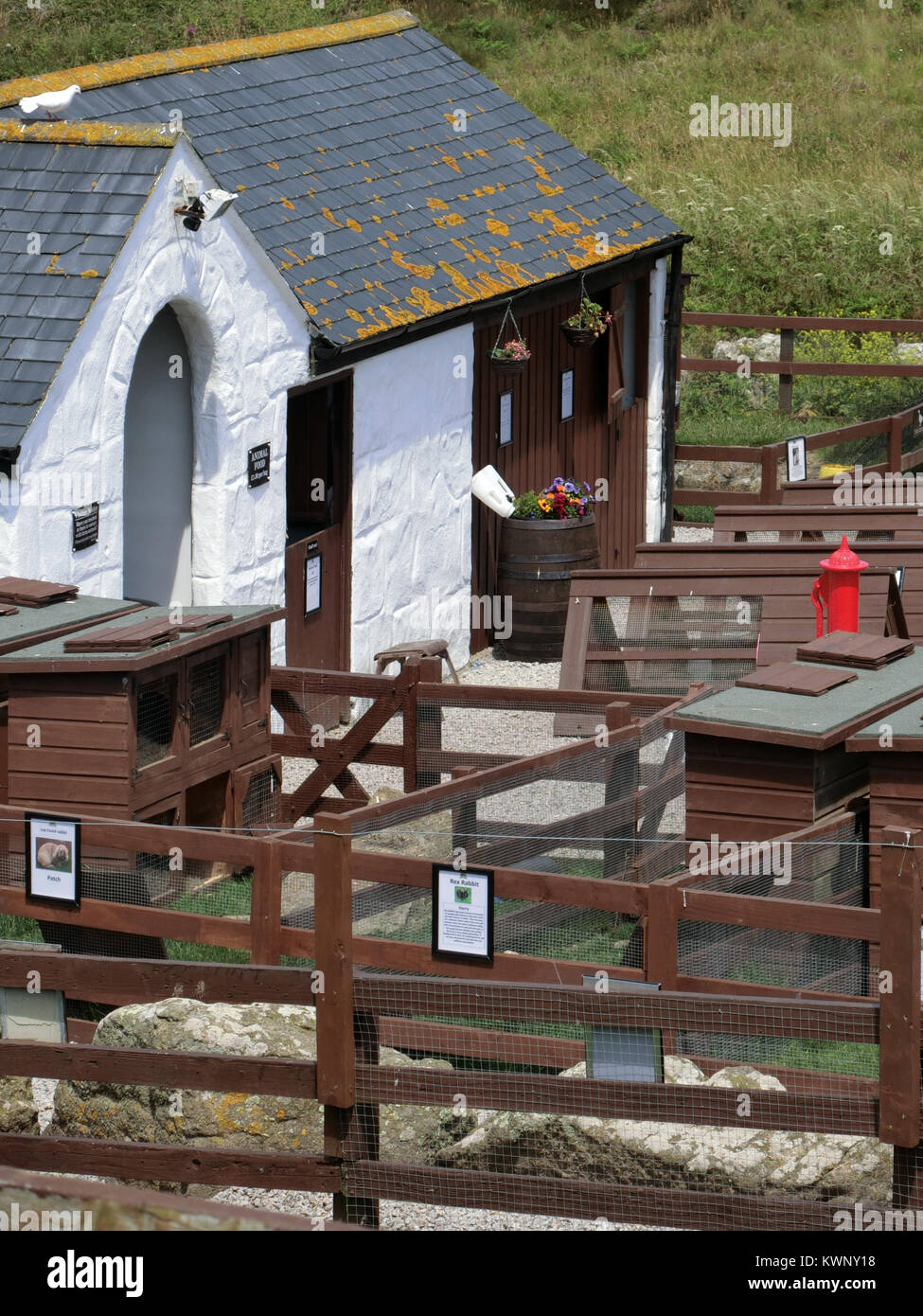 Greeb ferme, Land's End, West Penwith Péninsule, Cornwall, England, UK Banque D'Images