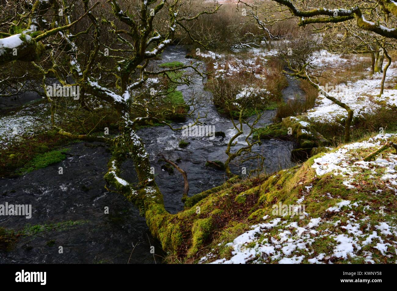 Près de la source de la rivière Loughor en hiver Montagne Noire Parc national de Brecon Beacons Fforset Fawr Geopark Carmarthenshire Wales UK Banque D'Images