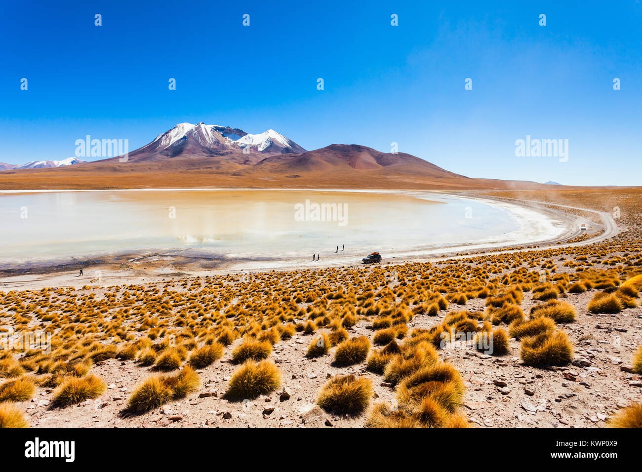 Laguna Canapa est un lac salé dans l'Altiplano de Bolivie Banque D'Images