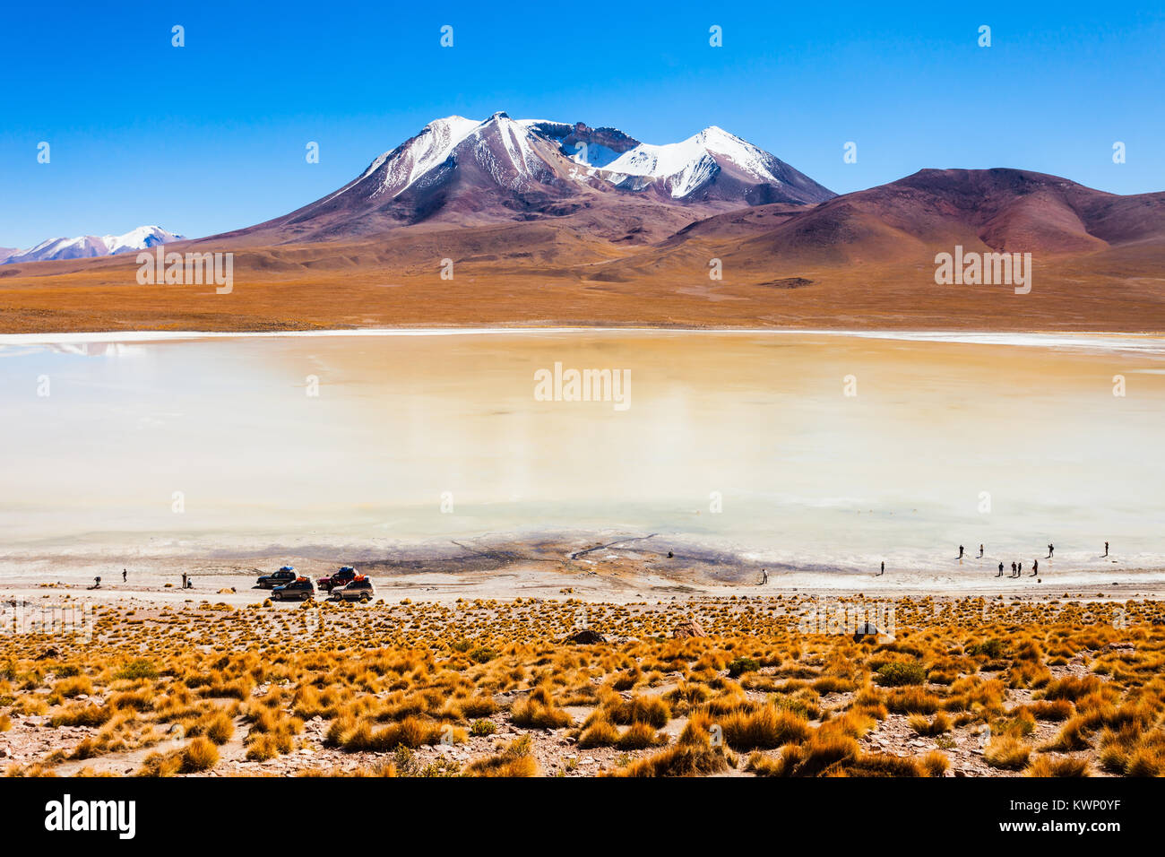 Laguna Canapa est un lac salé dans l'Altiplano de Bolivie Banque D'Images