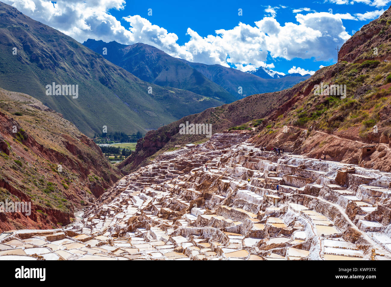 Le sel de l'évaporation de l étang à Maras (Salinas de maras) près de Cusco, Pérou Banque D'Images