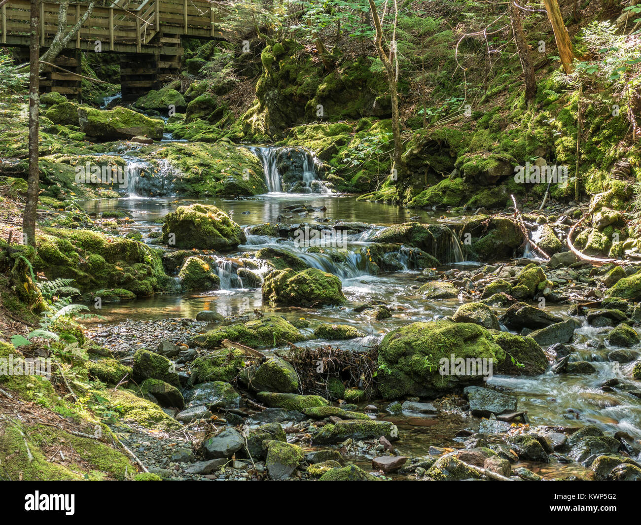 Dixon Brook, le Parc National de Fundy, la baie de Fundy, Nouveau-Brunswick, Canada. Banque D'Images