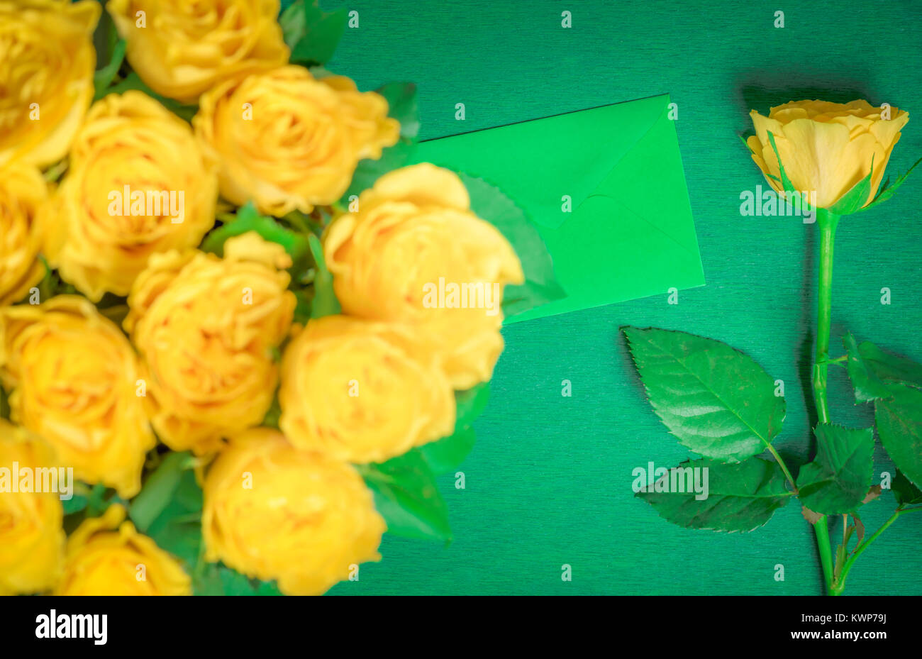 Gros Bouquet De Roses Jaunes Et Un Seul Place Pres D Une Lettre Sur Un Fond De Bois Vert Une Idee De Carte De Vœux Ou Un Cadeau D Anniversaire Photo Stock Alamy Gros Bouquet De Roses Jaunes Et Un Seul Place Pres D Une Lettre Sur Un Fond De Bois Vert Une Idee De Carte De Vœux Ou Un Cadeau D Anniversaire Photo Stock Alamy