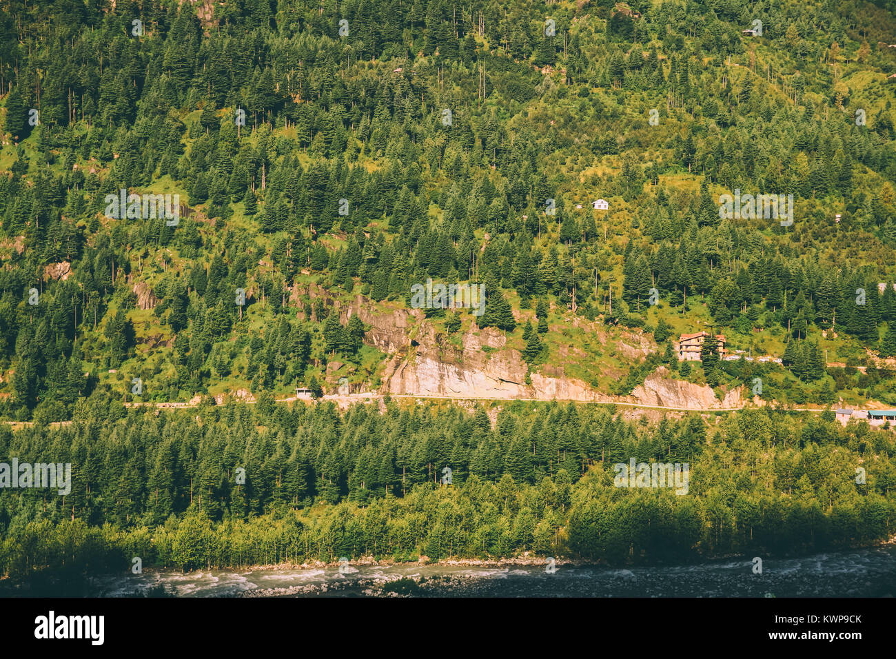 Superbe paysage de montagnes avec des arbres verts en Himalaya indien, Manali Banque D'Images