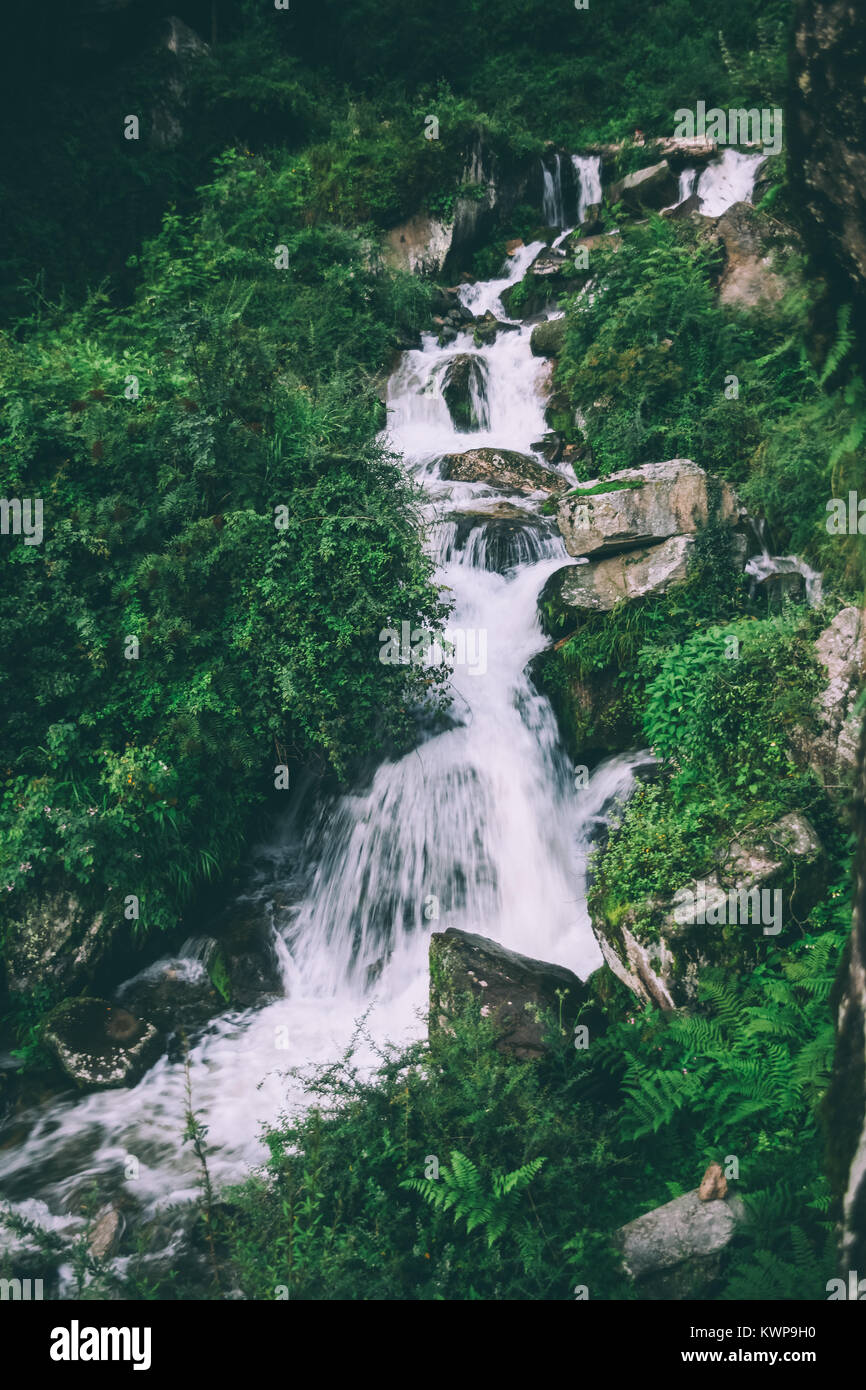 Amazing waterfall de rochers et de plantes vertes en Himalaya indien Banque D'Images