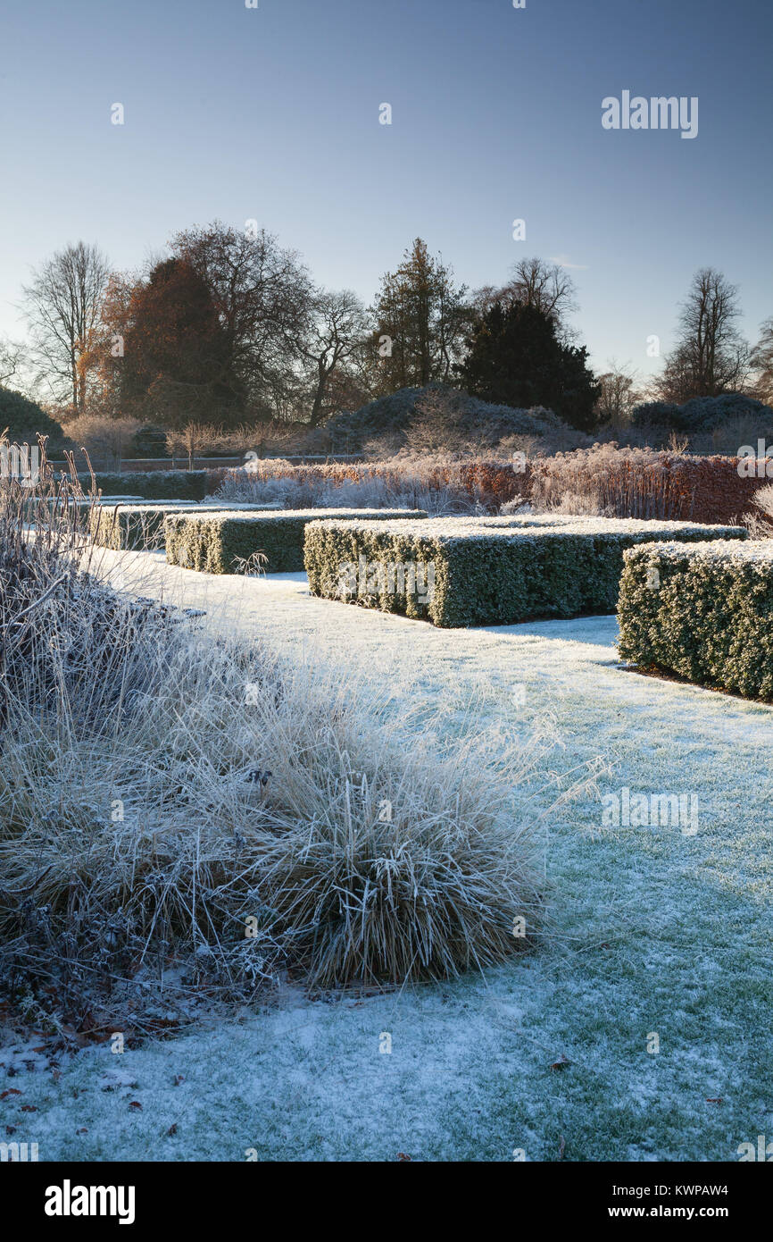 Scampston jardin clos, North Yorkshire, UK. L'hiver, décembre 2017. Un jardin contemporain de 2 hectares conçu par Piet Oudolf. Banque D'Images