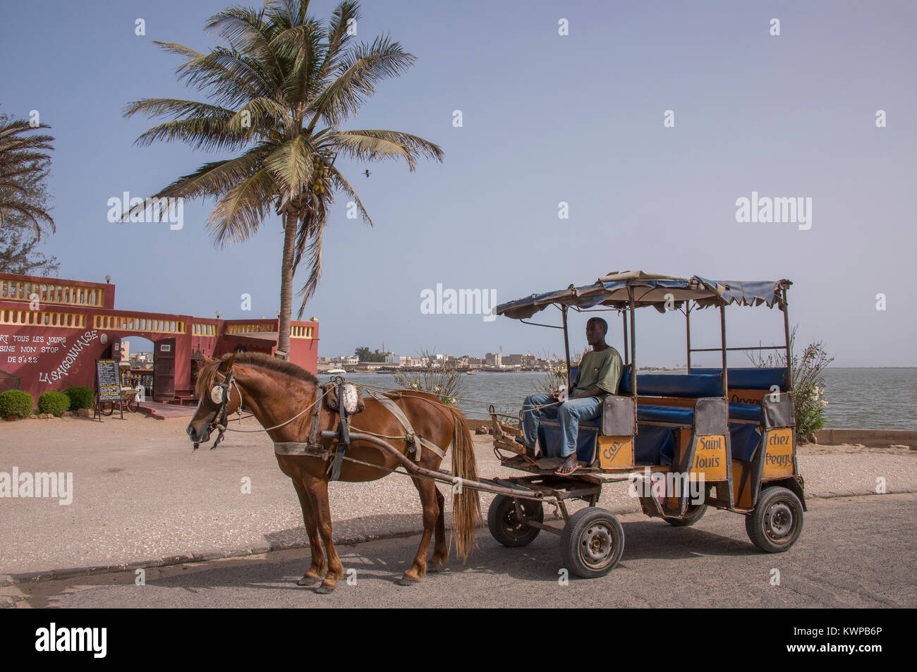 Driver et cheval panier dans les rues de St Louis, Sénégal Banque D'Images