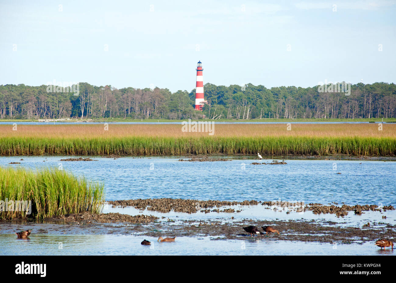 Assateague Island Lighthouse, Virginie Banque D'Images