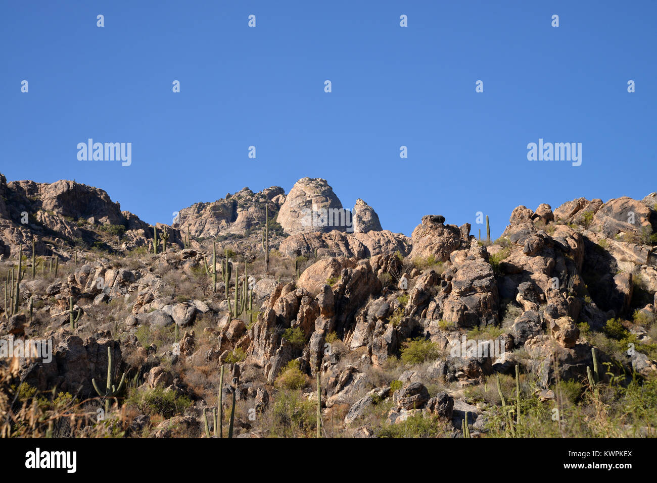 Mendoza, Coyote Canyon sauvage, montagnes, désert de Sonora, en Arizona, USA, Banque D'Images
