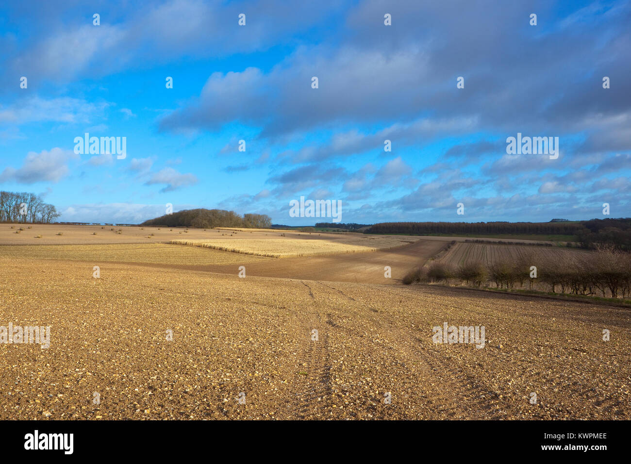 Paysage agricole d'hiver avec les balles rondes charrue forestiers les traces de pneus du sol et de la récolte de maïs sous un ciel bleu nuageux dans le Yorkshire Wolds Banque D'Images