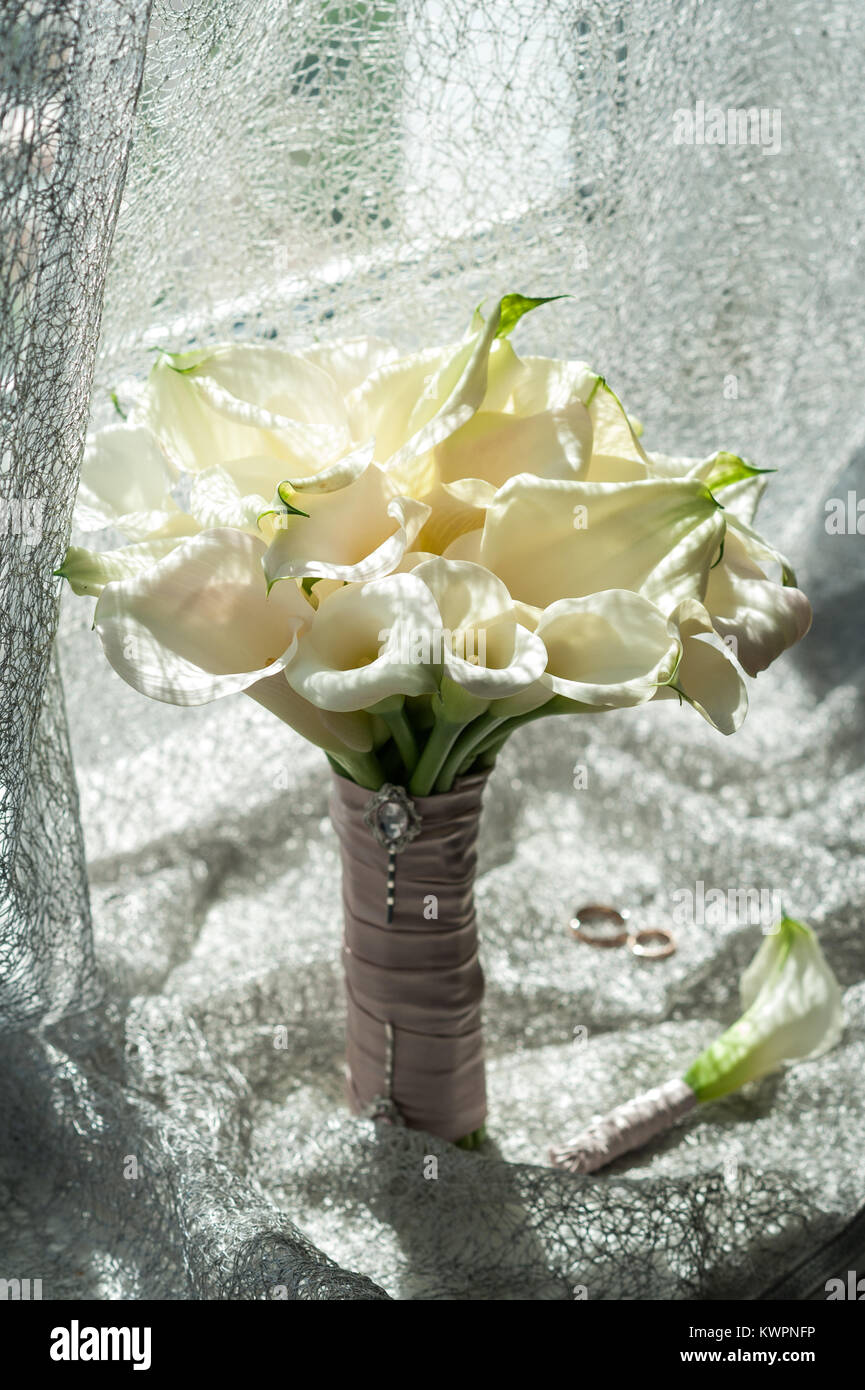 Mariage bouquet de Calla blanc Marsh Marsh, Bog Arum, Water-Arum, famille  Araceae. la lumière du soleil du matin, les mariés joints toriques Photo  Stock - Alamy
