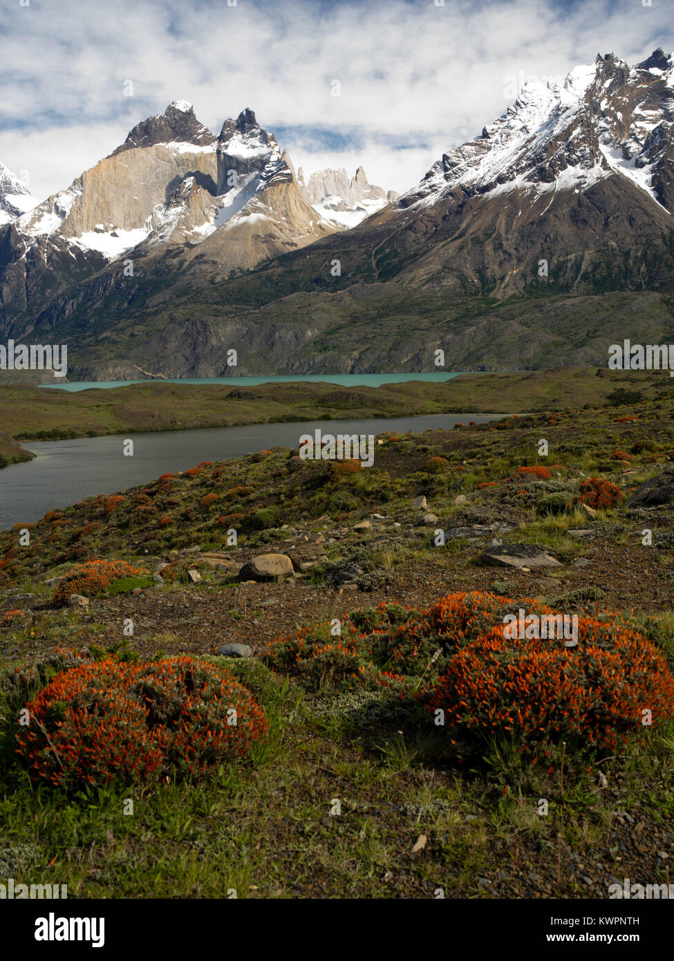 Vue du majestueux Parc National Torres del Paine, Chili. Banque D'Images