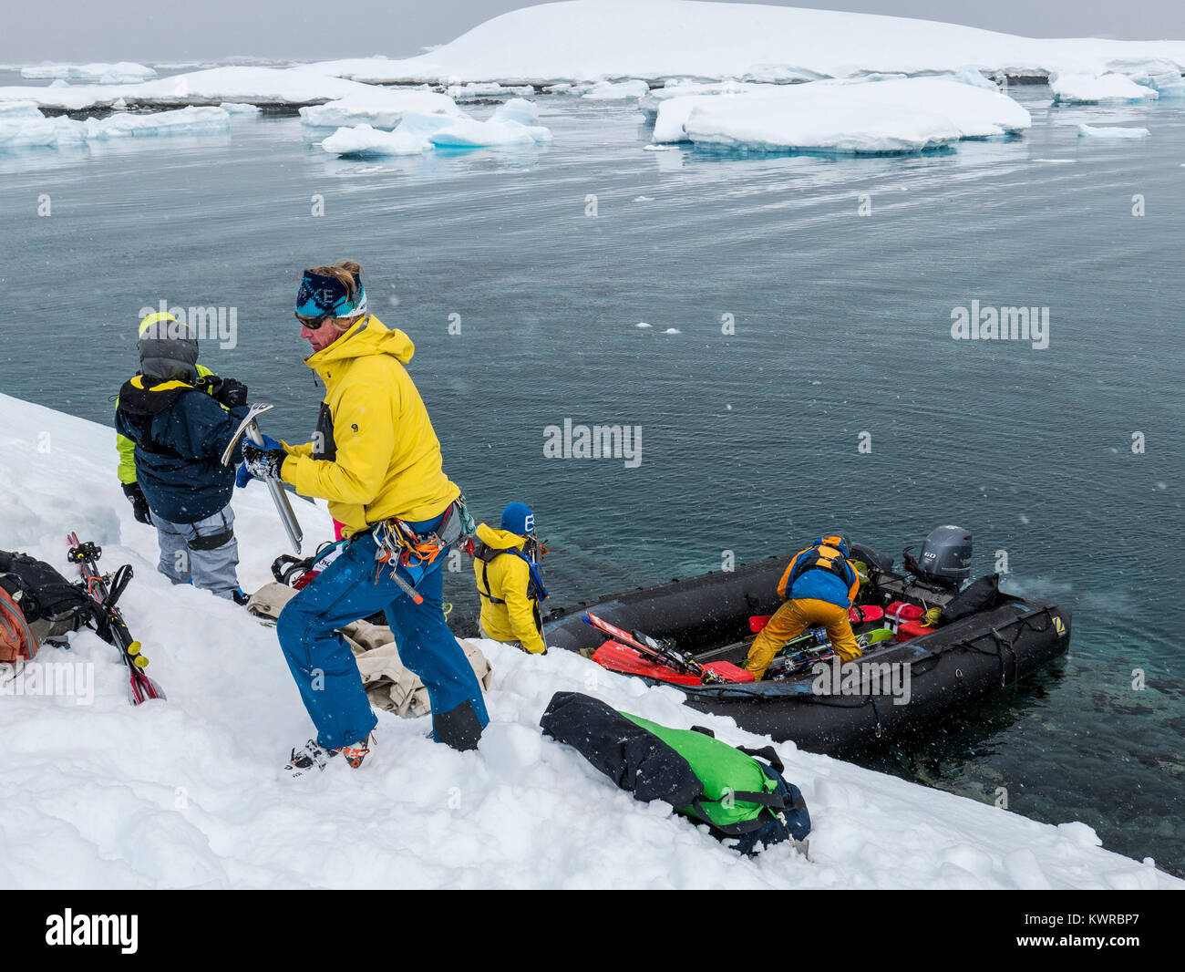 Bénitier ; Doug propriétaire de Piolet Expeditions ; aide à charger les grands bateaux Zodiac gonflable alpinisme navette skieurs à l'Antarctique du col Banque D'Images