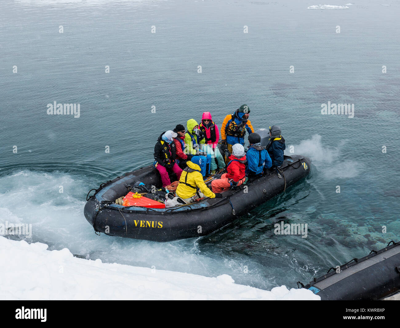 Les grands bateaux Zodiac gonflable alpinisme navette skieurs à l'Antarctique de l'océan des navires à passagers ; Charlotte aventurier Bay ; Cuverville J Banque D'Images