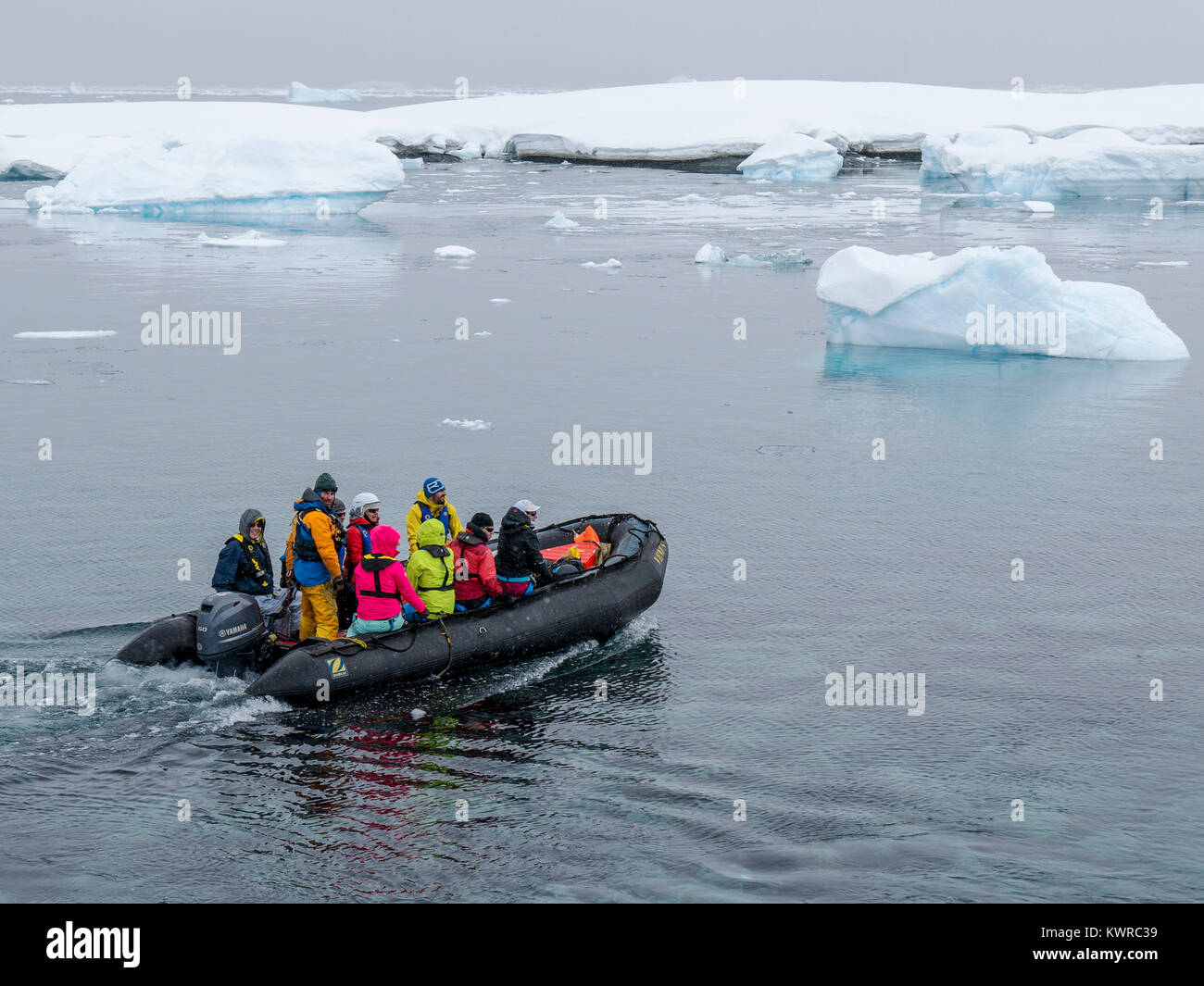 Les grands bateaux Zodiac gonflable alpinisme navette skieurs à l'Antarctique de l'océan des navires à passagers ; Charlotte aventurier Bay ; Cuverville J Banque D'Images