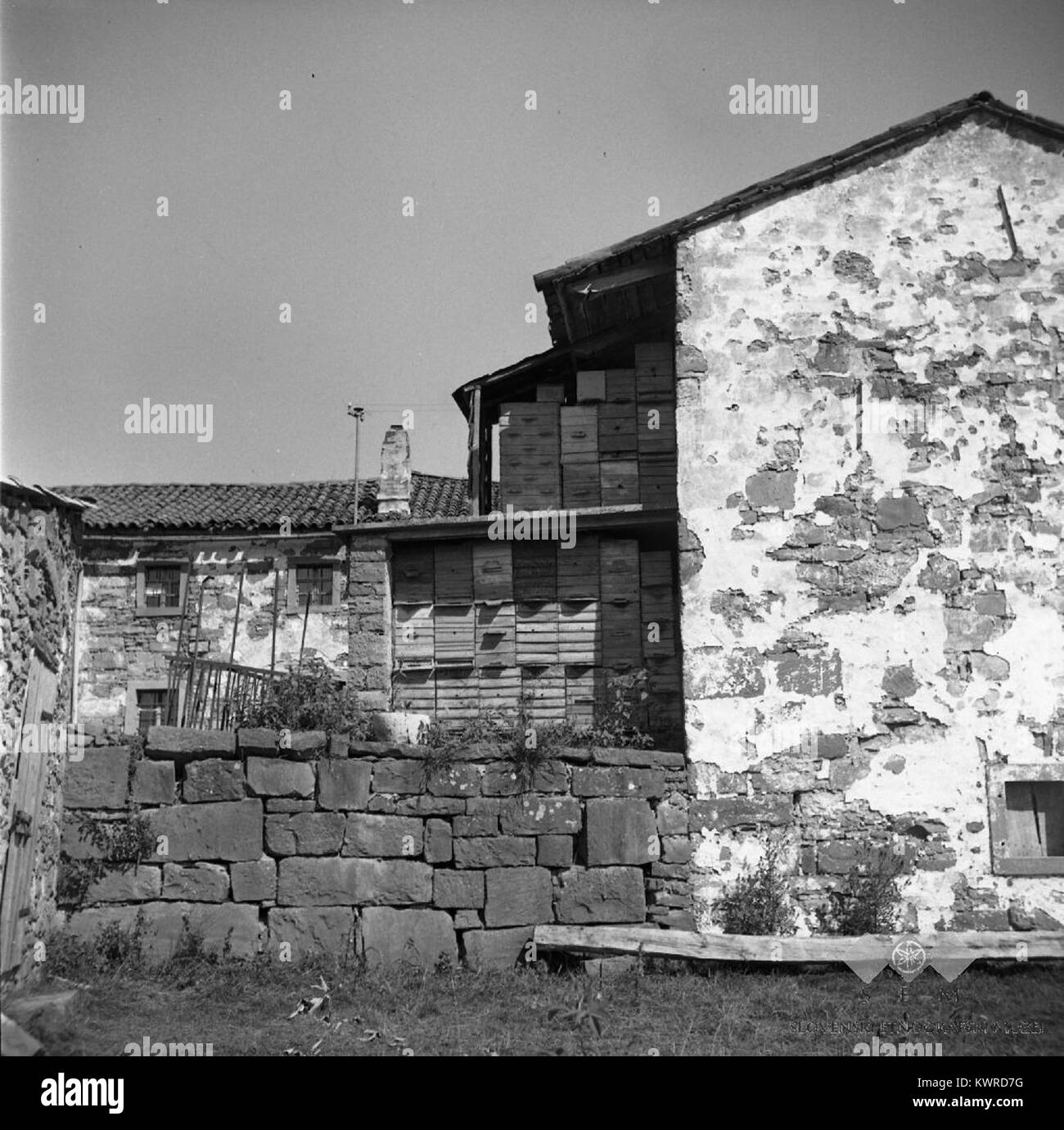 L'image de 1955 d'un zbennik à Kozjane, Slovénie montre une petite fromagerie rurale, illustrant la transformation traditionnelle des produits laitiers et la culture alimentaire locale. Banque D'Images