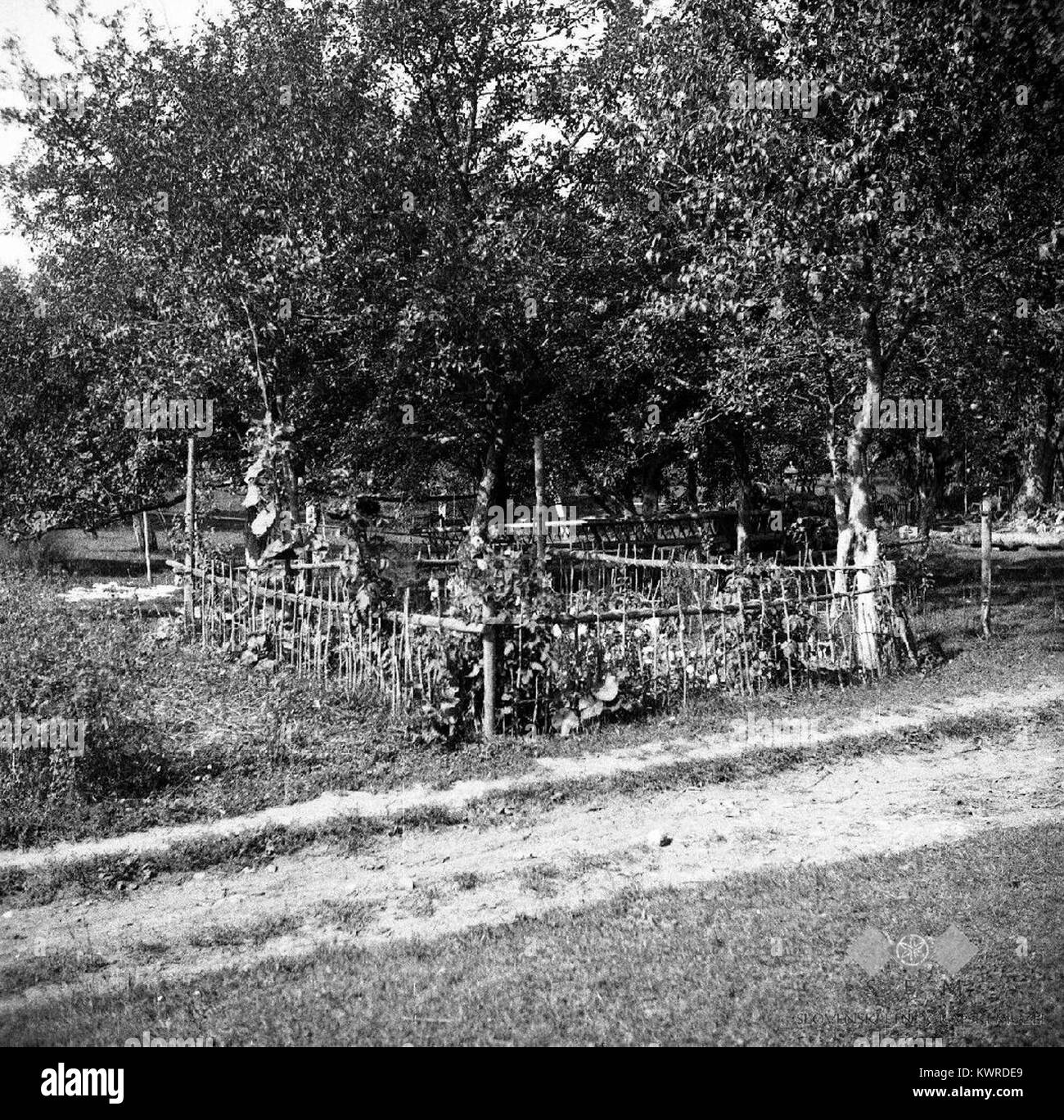 La photographie de 1950 capture la petite parcelle de jardin traditionnelle connue sous le nom de « flanšček » (vrtiček) à Hrastov Dol, Slovénie, illustrant les pratiques culturales domestiques dans les villages slovènes ruraux du milieu du XXe siècle. ETNO Muzej+1 Banque D'Images