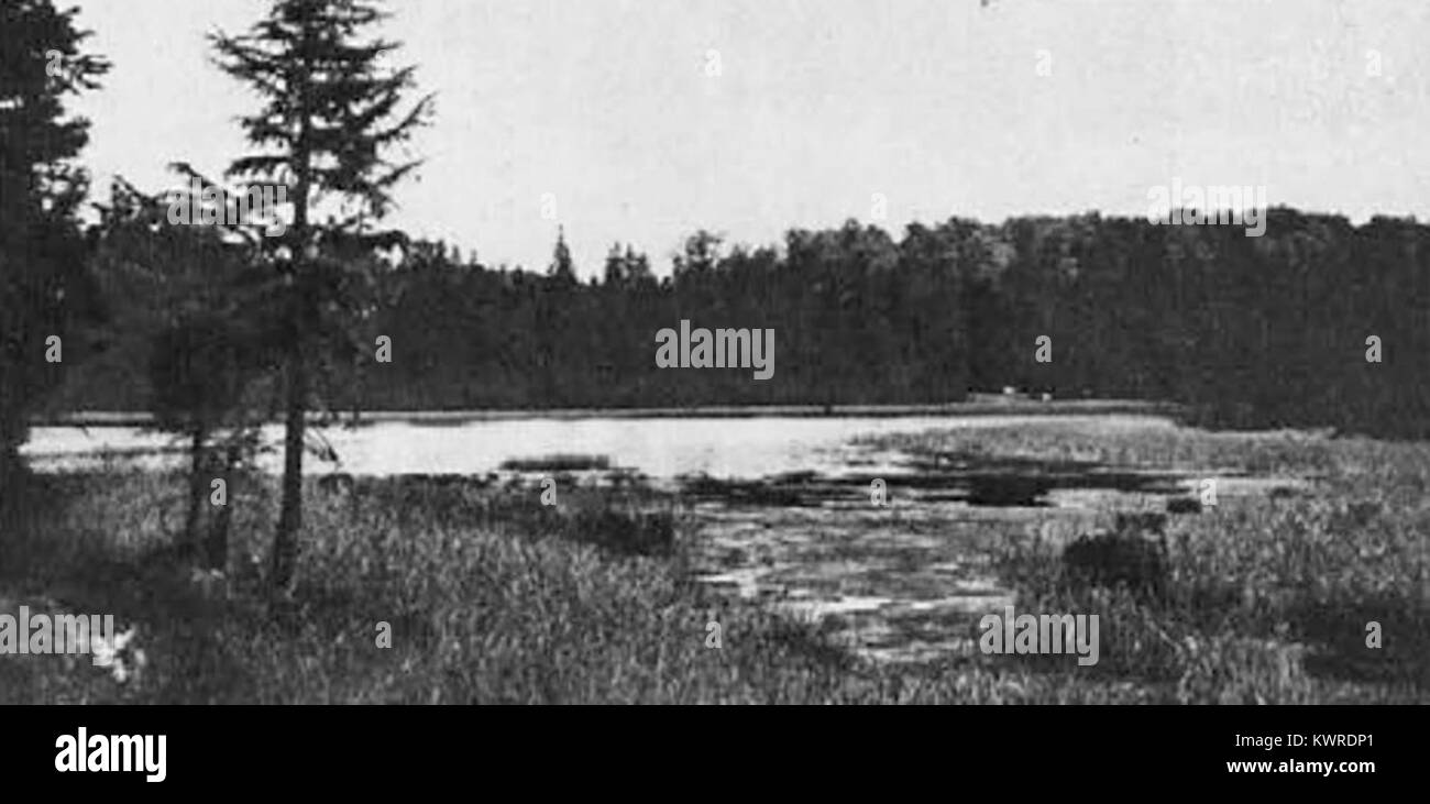 Crno Jezero, ou lac Noir, se trouve au-dessous de Veliki Vrh au Monténégro, reconnu pour son paysage pittoresque, son importance écologique et son rôle d'attraction naturelle dans la région montagneuse. Banque D'Images
