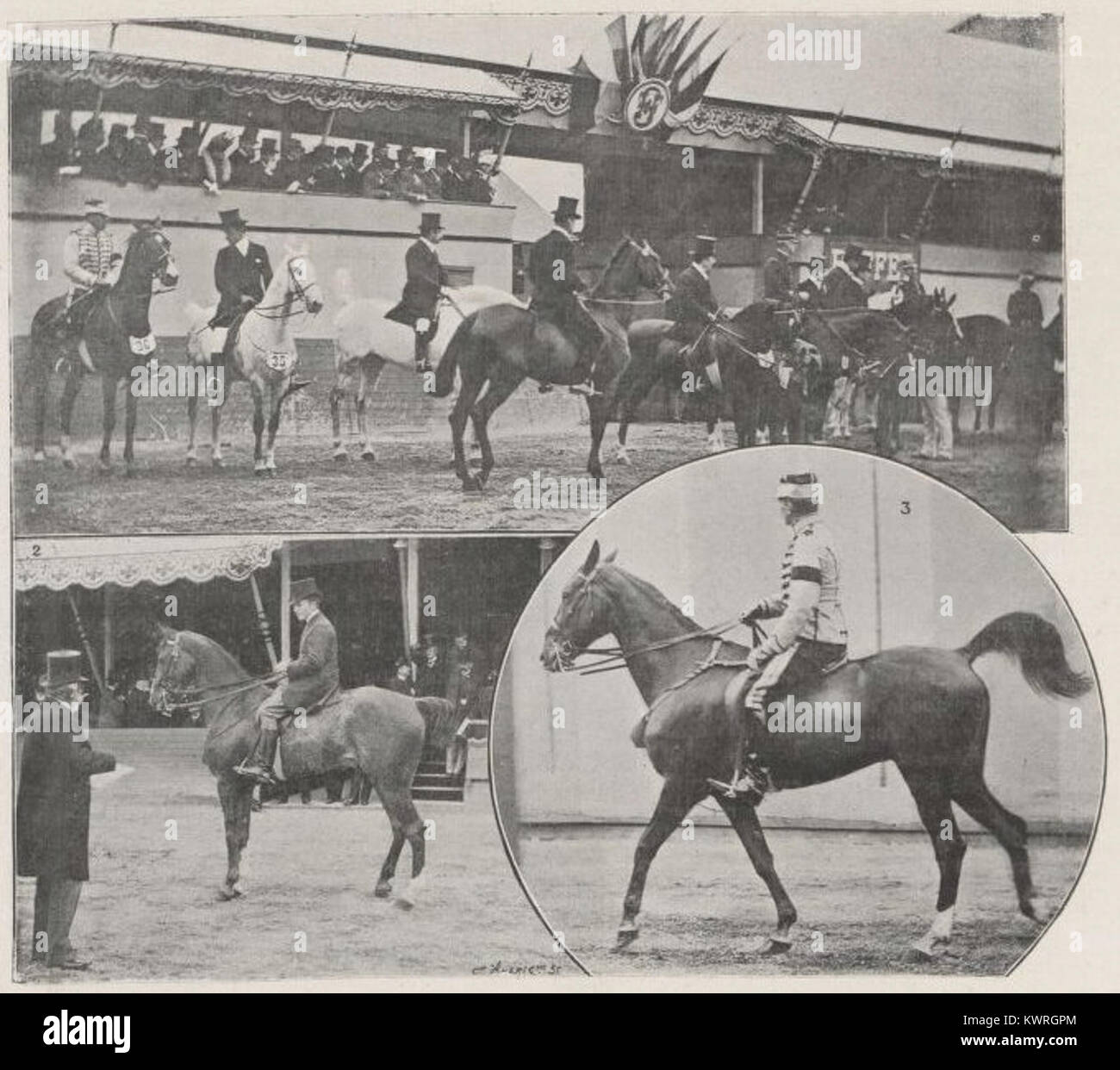 Concours Hippique Cossé-Brissac : C'est LE concours de Paris